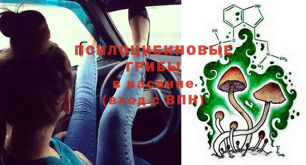 прущая мука Верея